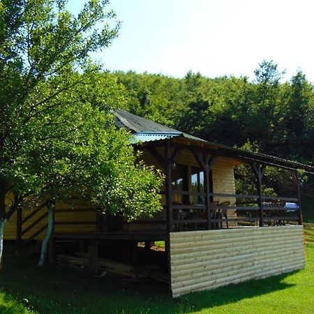 Forest Lodge On The Pyramid Visoko Dış mekan fotoğraf