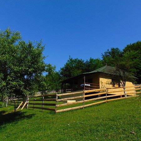 Forest Lodge On The Pyramid Visoko Dış mekan fotoğraf