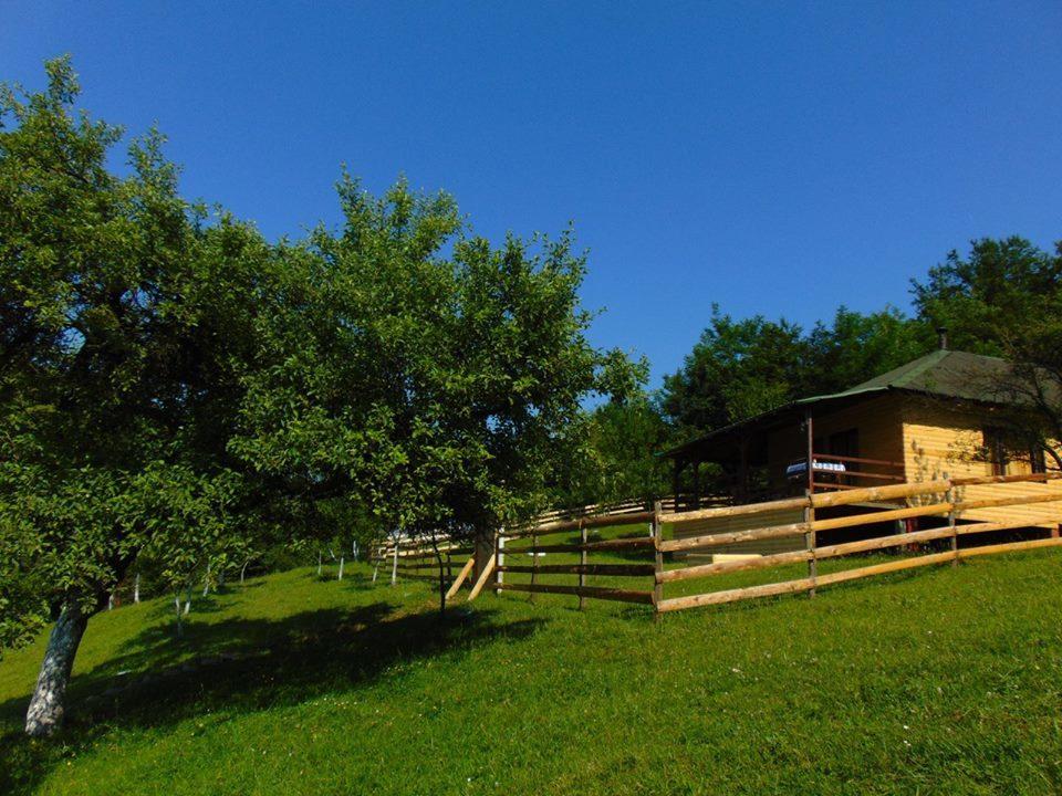 Forest Lodge On The Pyramid Visoko Dış mekan fotoğraf