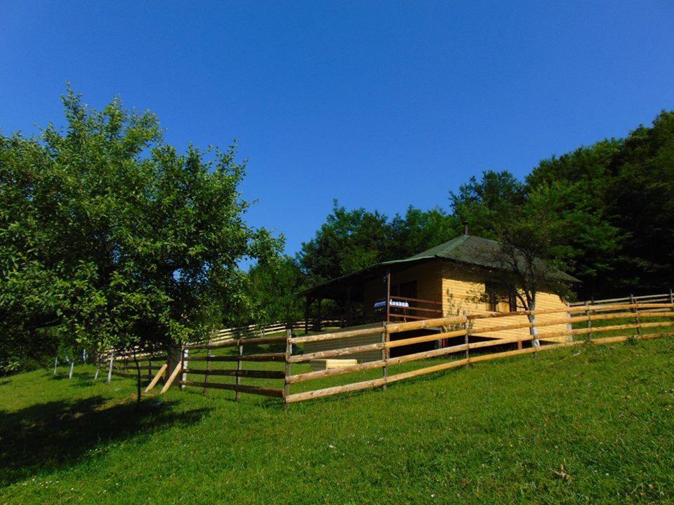 Forest Lodge On The Pyramid Visoko Dış mekan fotoğraf