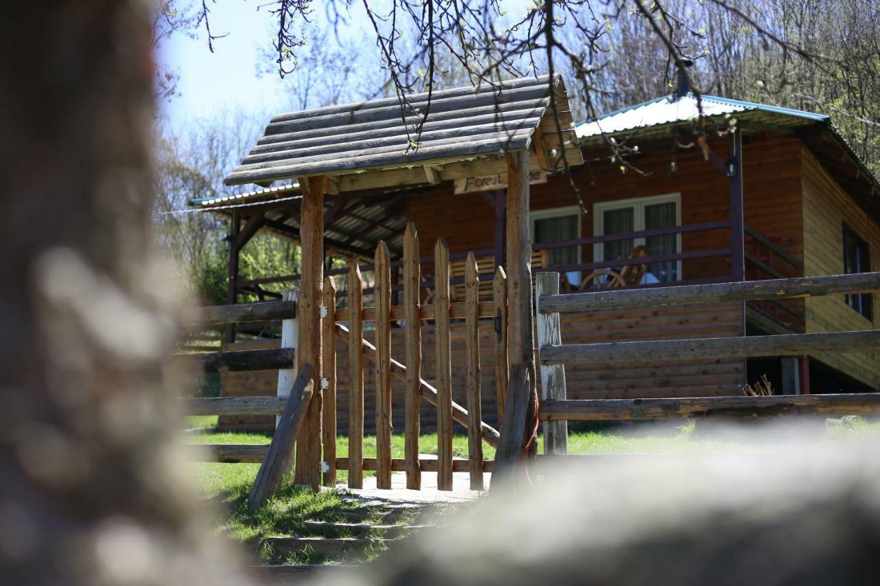 Forest Lodge On The Pyramid Visoko Dış mekan fotoğraf