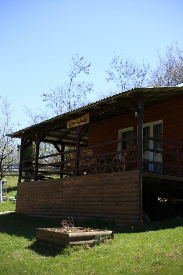 Forest Lodge On The Pyramid Visoko Dış mekan fotoğraf